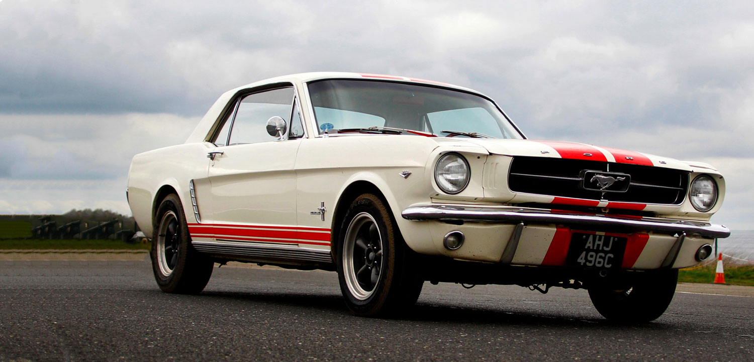Mustang GT 350 Drive-image-4086