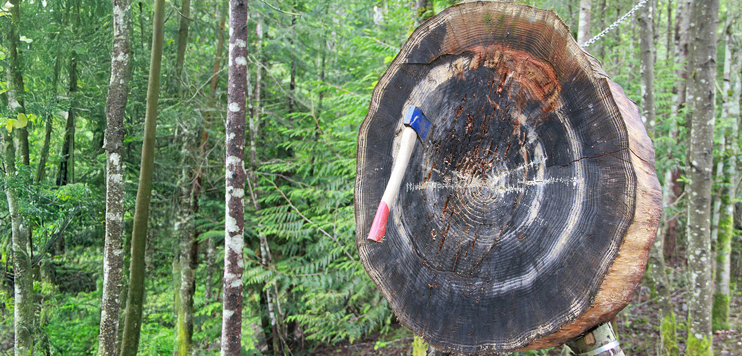 Axe Throwing in Kent-image-4985