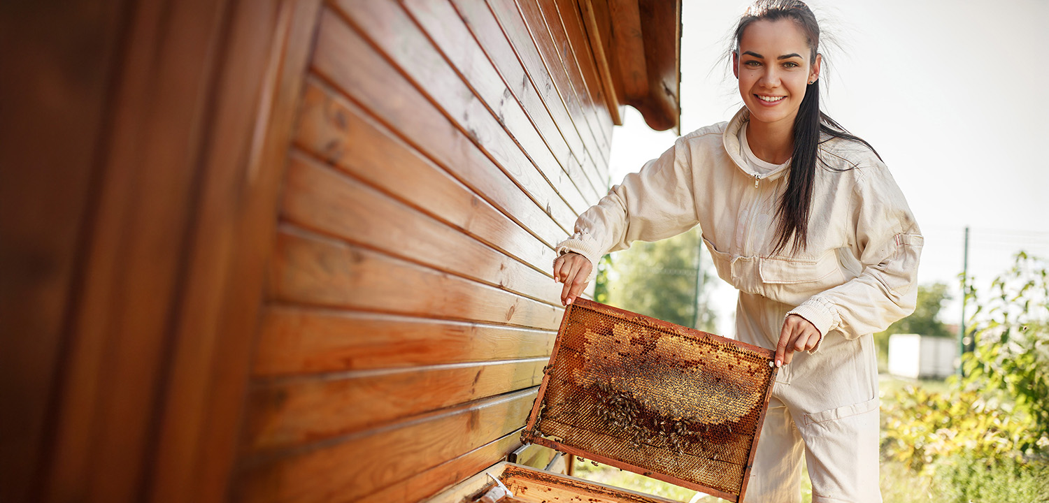 Bee Keeper for a Day-image-2085