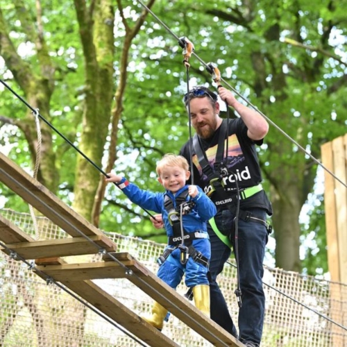 Kids Go Ape Treetop Adventure
