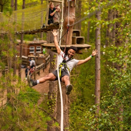 Go Ape Treetop Challenge