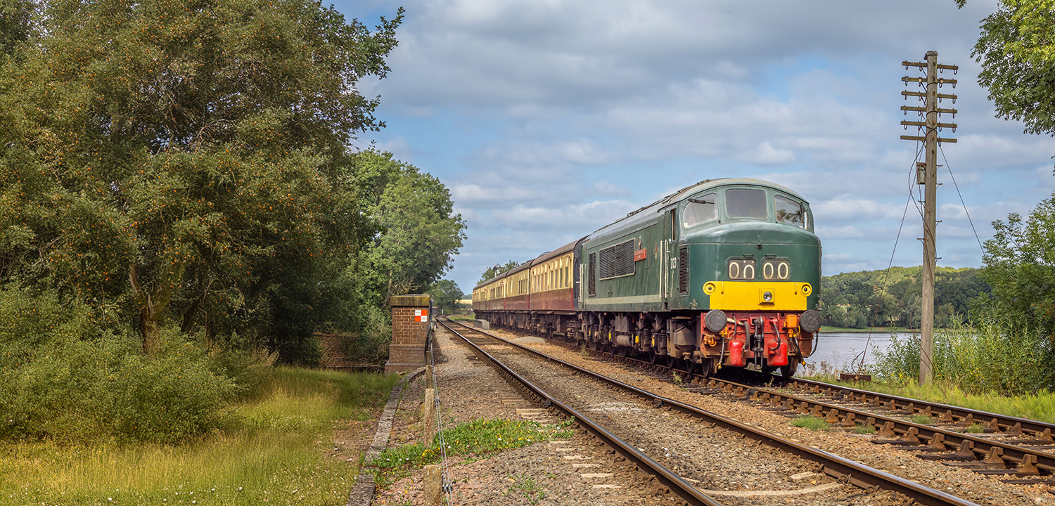 Diesel Locomotive Driving-image-3976