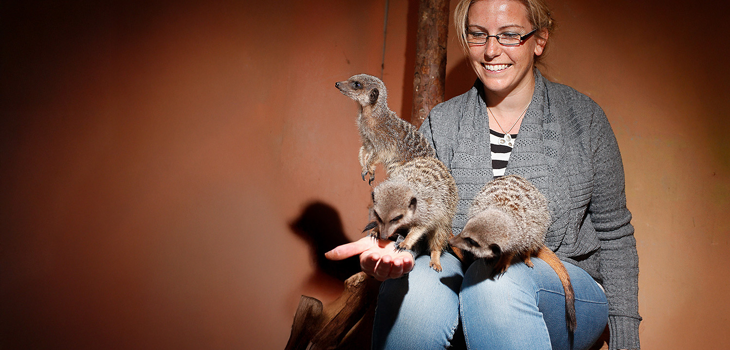 Meerkat Experience for Two-image-3224