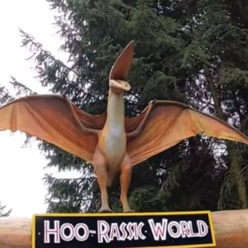 Hoo Zoo Dinosaur Thumbnail