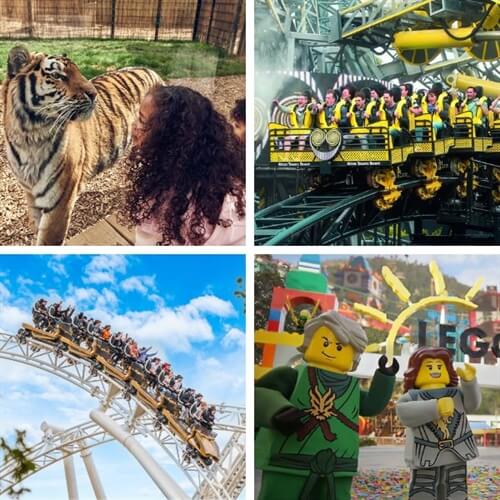 Merlin Theme Parks Choice Tickets for Two