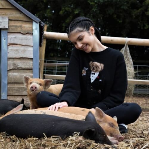 Pig Enthusiast Experience at Kew Little Pigs