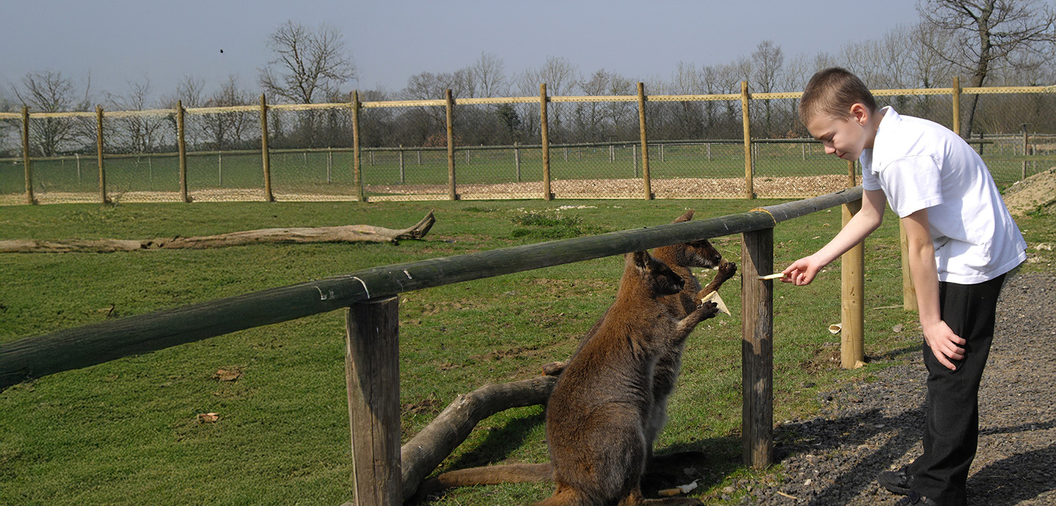Animal Keeper Experience in Sussex-image-1310