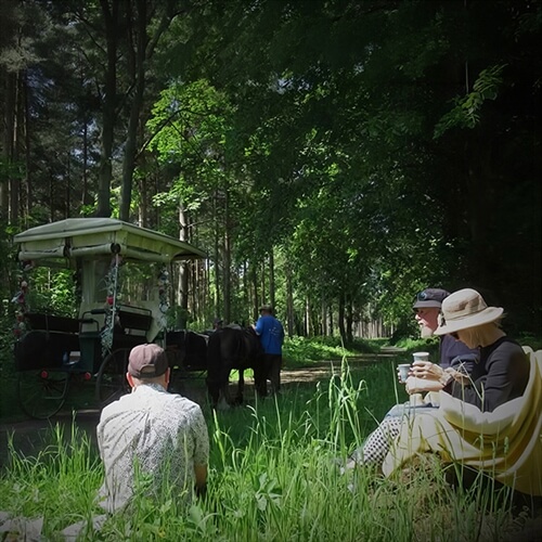 Horse Drawn Carriage Rides andAfternoon Tea
