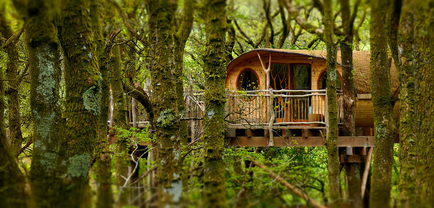 Luxury Treehouse Break-image-1338