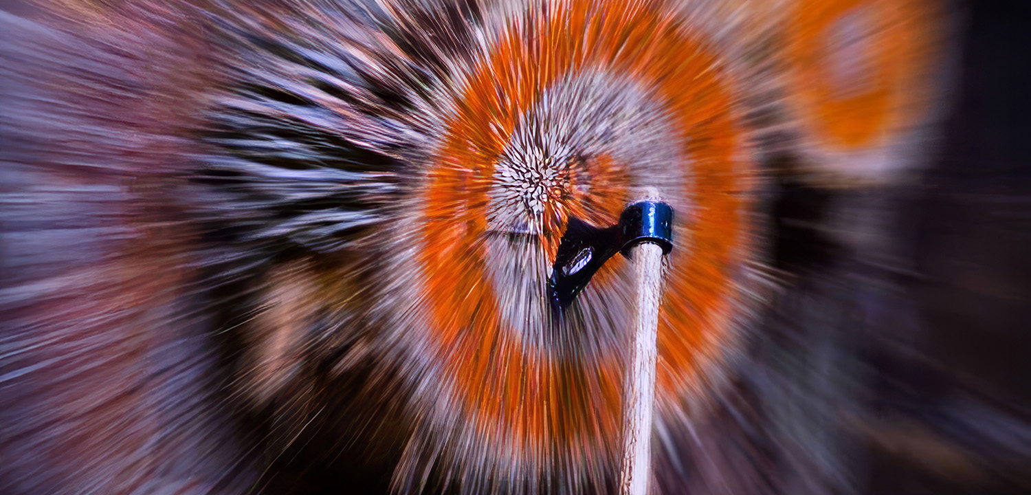 Axe Throwing Birmingham from Into the Blue