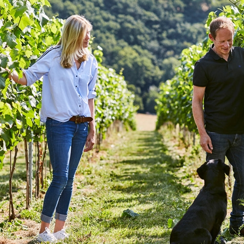 Cider Farm Tour & Tasting for Two Dorset Cider Farm Tour & Tasting for Two Dorset
