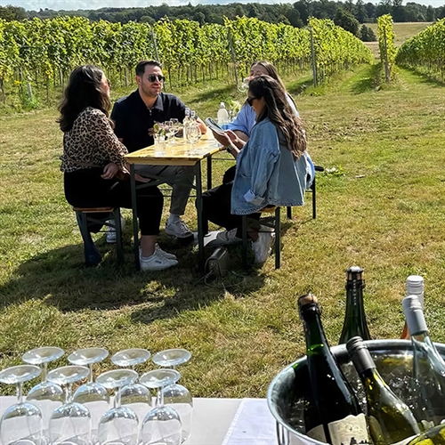 Nine Oaks Vineyard Tour & Wine Tasting near Ashford in Kent