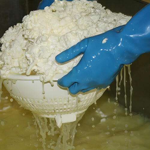 One Day Cheese Making Experience North Yorkshire