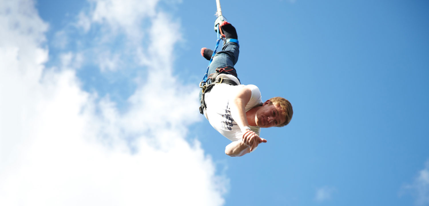 Front and Back Bungee-image-1570