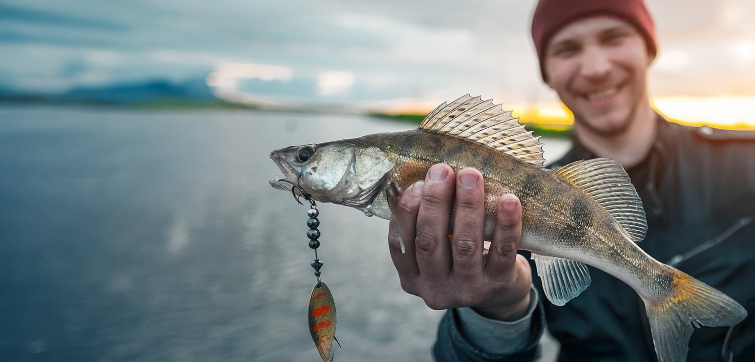 Fishing In Norwich Prices From