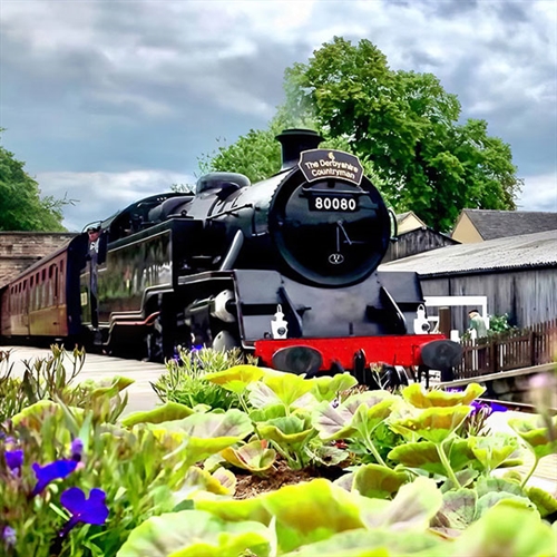 Summer Special Steam Train & Vintage Bus Day Summer Special Steam Train & Vintage Bus Day