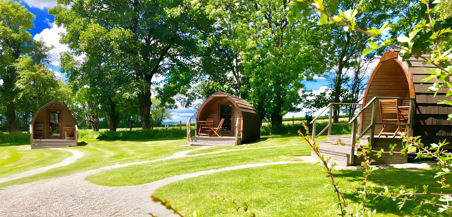 Glamping Pods Tavistock-image-2686