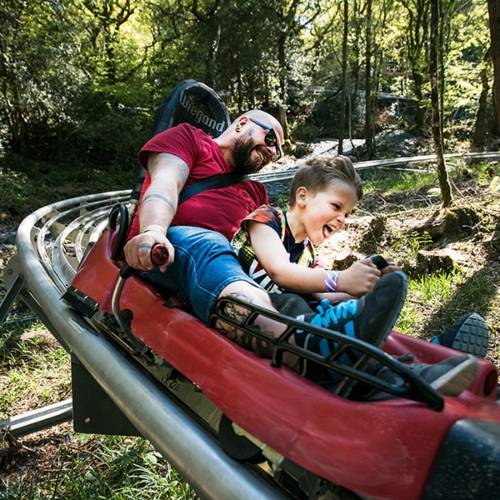 Zip World Fforest Coaster Snowdonia