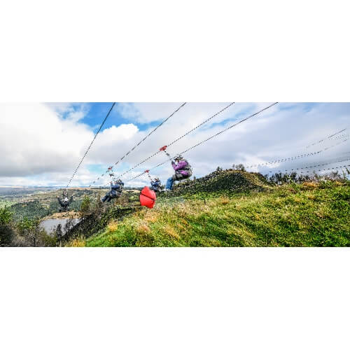 Zip World Velocity Zip Line - from 124