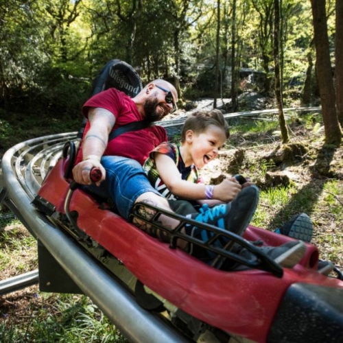 Zip World Fforest Coaster Snowdonia