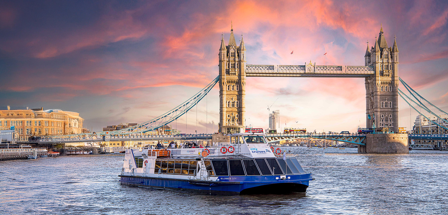 London Red Rover Sightseeing-image-2964