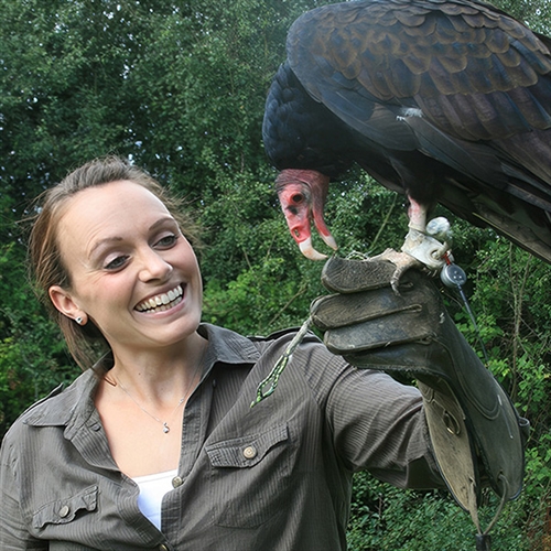 Birds of Prey Horsham West Sussex lady with bird on hand 