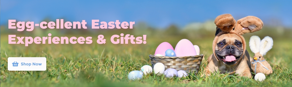 Easter Promotion
