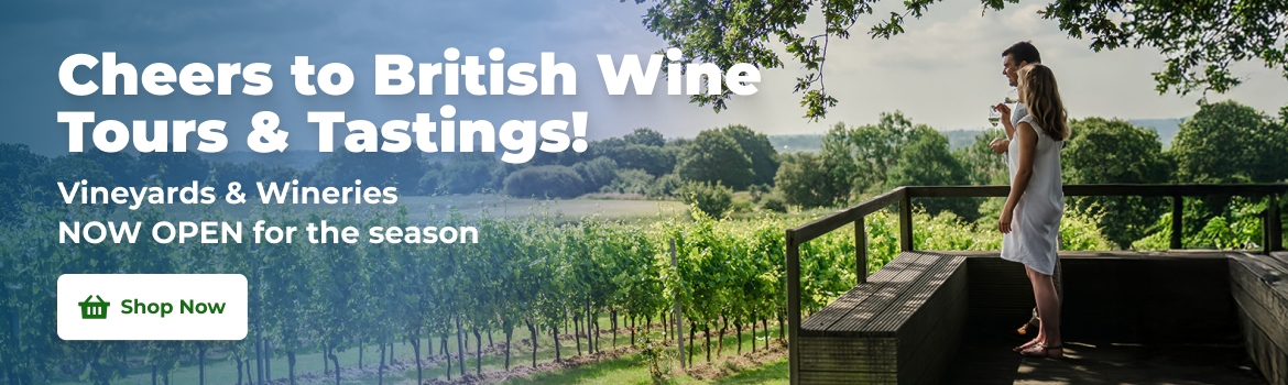 Wine Tasting and Tours