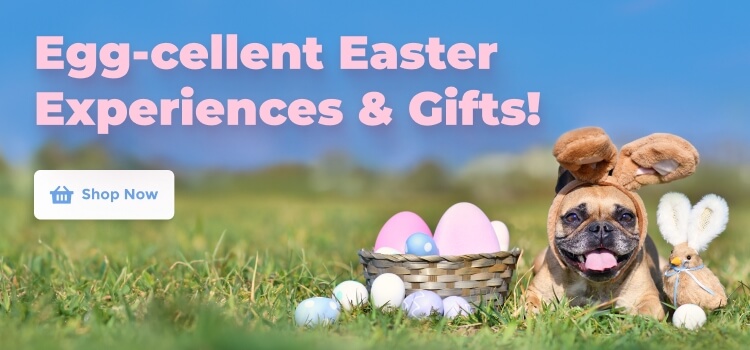 Easter Promotion