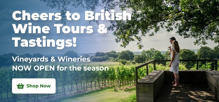 Wine Tasting and Tours