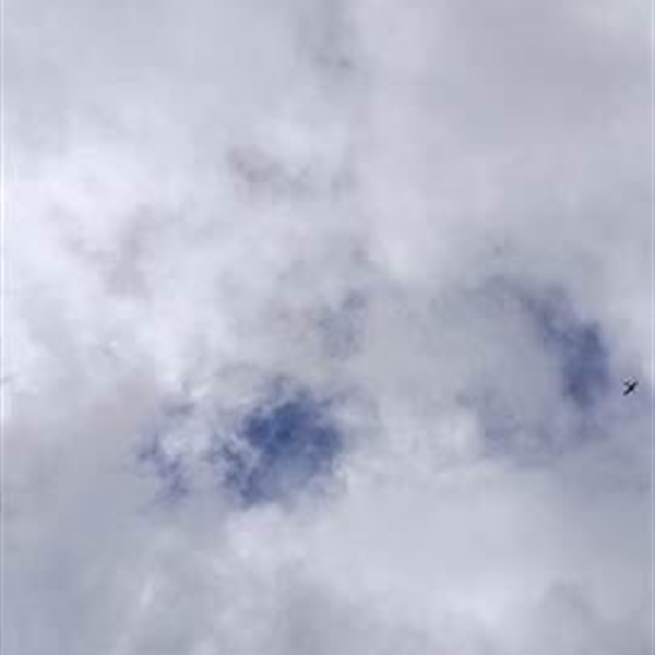 Customer Photo of 60 Minute Flying Lessons Nationwide Customer Photo of 60 Minute Flying Lessons Nationwide