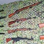 Target Shooting Experience Nuneaton - Wall of Guns