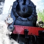 Steam of train