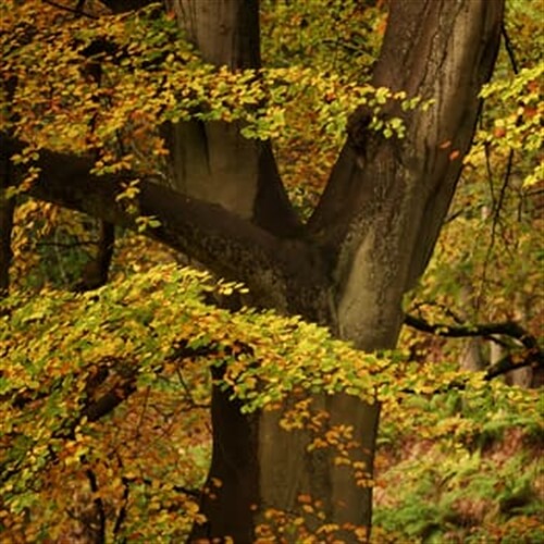 Peak District Photography Workshops in the Hope Valley