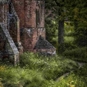 Sunset Photography Workshop Kenilworth Castle Walk