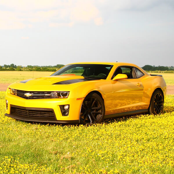 Transformers ’Bumblebee’ Experience