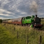 green steam train