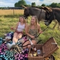 Donkey Walking Experience & Picnic in Surrey - Picnic with Donkeys
