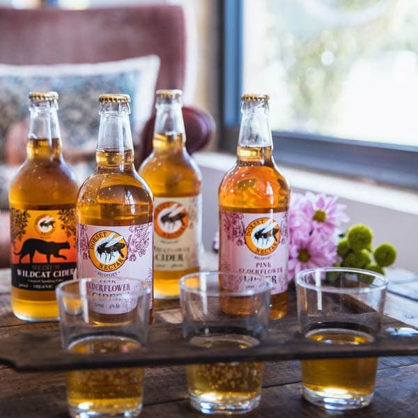 Cider Farm Tour and Tasting for Two Dorset