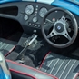 cobra interior