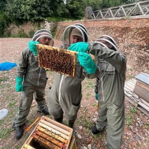 Bee Keeping Experience in Kent - 3 people looking at the bees Bee Keeping Experience in Kent - 3 people looking at the bees