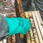 Bee Keeping Experience in Kent - Pulling the bees out