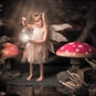 fresh fashion Enchanted Photoshoot girl holding lantern with toadstool