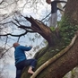 Happy Ape Tree Climbing Experience Cumbria - Climbing Up a Tree