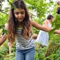 Happy Ape Tree Climbing Experience Cumbria - Climbing through the trees