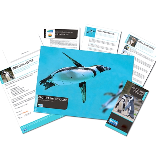 Penguin Adopt It Charity Adoption Tin – Support Sloth Conservation - View #6