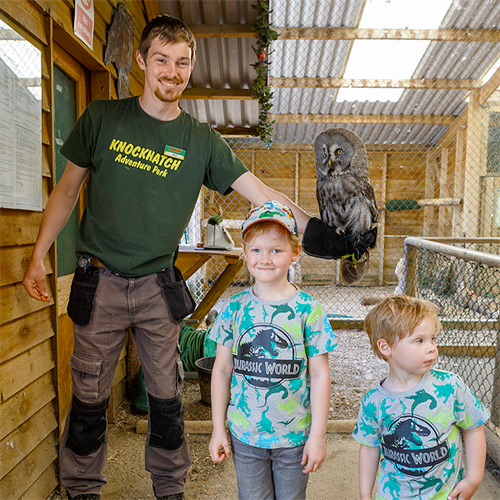 Owl Experiences near Eastbourne in East Sussex Owl Experiences near Eastbourne in East Sussex