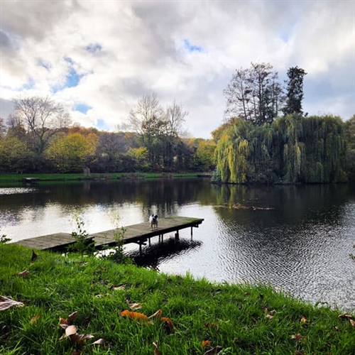 Fly Fishing Surrey - Lake And Forest  Fly Fishing Surrey - Lake And Forest