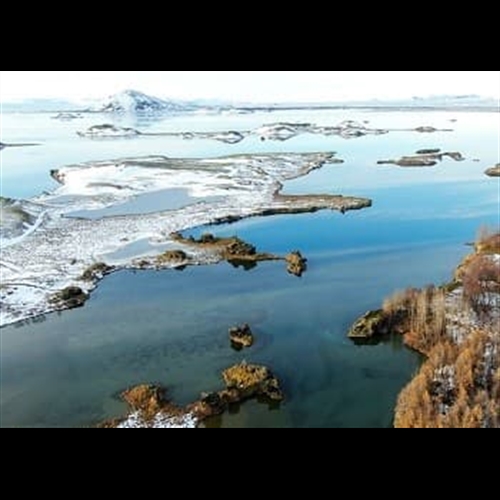 NatureEye Drone Experience NatureEye Drone Experience