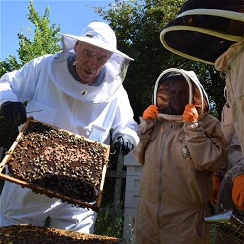 beekeeping beekeeping